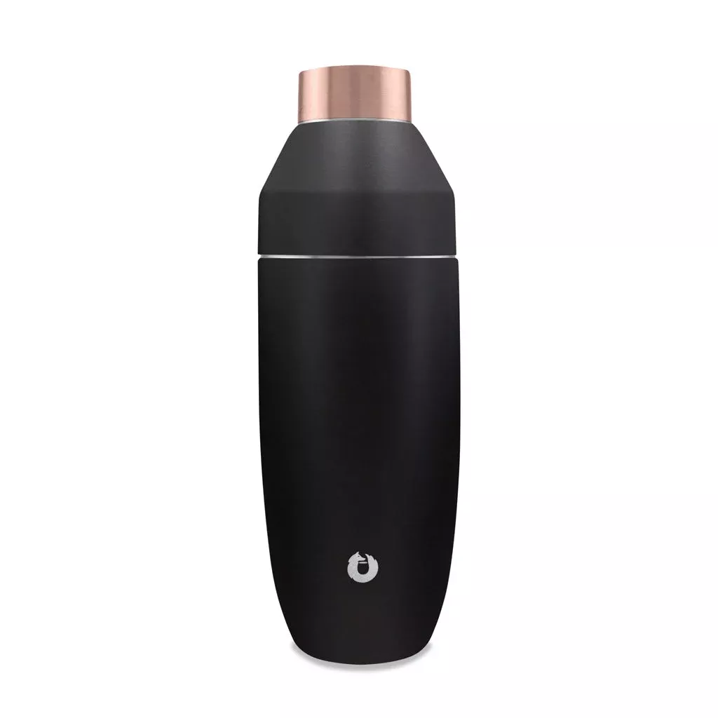 Stainless Steel Cocktail Shaker, Black